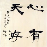 肖映梅(中国书协会员)国画书法 四尺斗方《心有天游》